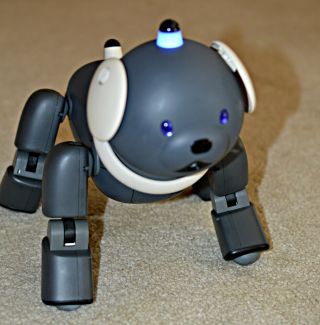 Rare Vintage Black Macaron Aibo Ers - 311 Sony Robot Dog U.  S.  Seller
