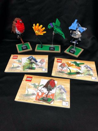 Lego Ideas Birds Set 21301 - Ready To Build - Box