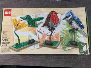 Lego Ideas 21301 Birds 100 Complete And Instructions