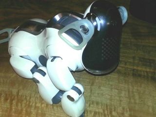 Sony Aibo Ers - 7 W/ Oem Sony Carry Case And Latest Mind Update
