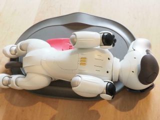 SONY AIBO ERS - 1000 Entertainment Robot Dog Ivory White Model 5