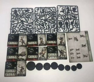 Untamed Beasts Warcry Warband Warhammer Age Of Sigmar Chaos Starter Set