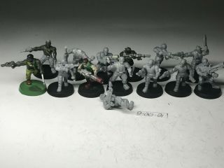 Warhammer 40k - Imperial Guard - Catachan Jungle Fighters X 14