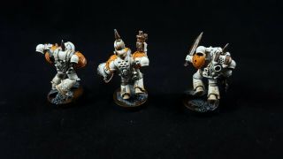 Propainted Warhammer 40k Death Guard Chaos Space Marine Squad & Rhino 3 6