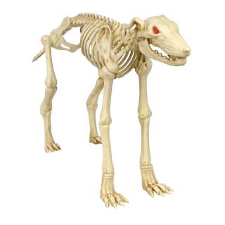 Home Accents Halloween 26 Animated Skeleton Greyhound With Led Illuminated Eyes