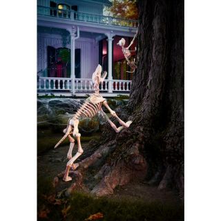 Halloween 3 ft.  Animated Skeleton Greyhound with LED Illuminated Eyes 2