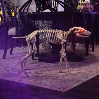 Halloween 3 ft.  Animated Skeleton Greyhound with LED Illuminated Eyes 3