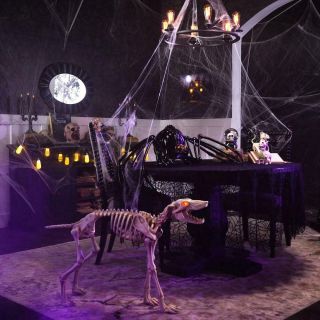 Halloween 3 ft.  Animated Skeleton Greyhound with LED Illuminated Eyes 4