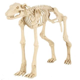 Halloween 3 ft.  Animated Skeleton Greyhound with LED Illuminated Eyes 7