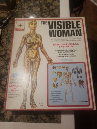 Vintage Renwal The Visible Woman Anatomy Assembly Model Kit 804 Gm810