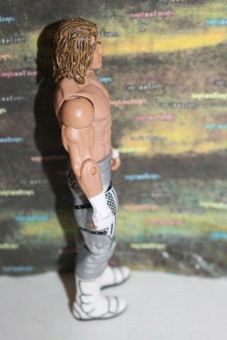 WWE Dolph Ziggler Mattel Basic Wrestling Action Figure Series Silver Trunks 4