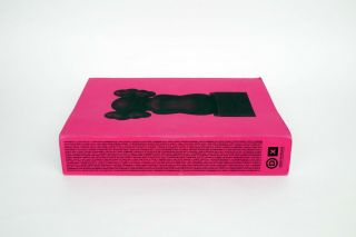 Bearbrick Kaws Pharrell x Design Exchange Urban Vinyl Book - This is Not a Toy 4
