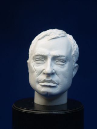 1:6 Custom Resin Head Sculpt Kelly 