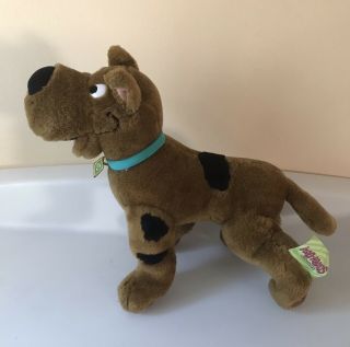 Cartoon Network Scooby Doo Plush Brown Dog Blue Collar Stuffed Animal Toy