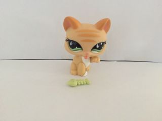 Lps 842 Light Orange Cat Licking It’s Paw With Green Eyes And A Green Fish