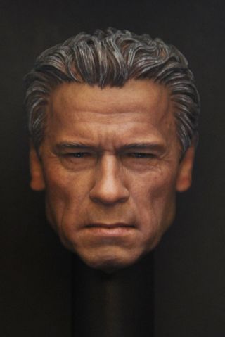 Custom 1/6 Scale Arnold T800 Guardian Head Sculpt For Hot Toys Body