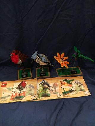 Lego Ideas Birds (21301) Retired Set,  Complete,  All Instructions