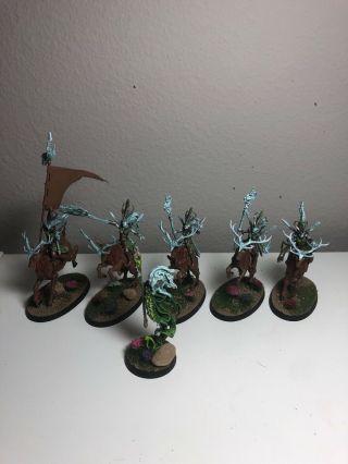 Warhammer Age Of Sigmar Sylvaneth Wanderers Spellweaver 5 Sisters Of The Thorn