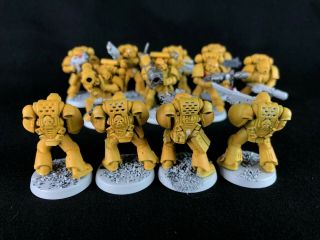 Tactical Squad x16 - Imperial Fists - Space Marines - Warhammer 40k 5
