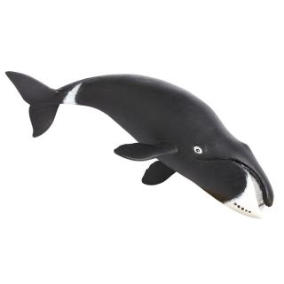 Safari Ltd Saf205529 Bowhead Whale,  Wild Safari Sea Life