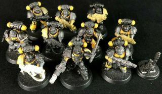Tactical Squad X10 - Imperial Fists - Space Marines - Warhammer 40k