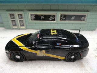 Green Light Police Dodge Charger Slick Top Michigan State Police Custom Unit