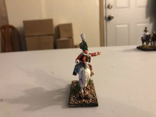 28mm Napoleonic Austrian Mounted Officer,  Professionally Painted 5