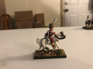 28mm Napoleonic Austrian Mounted Officer,  Professionally Painted 7
