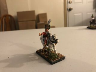 28mm Napoleonic Austrian Mounted Officer,  Professionally Painted 8