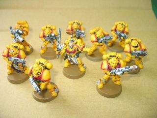 Space Marine Tactical Squad Painted Imperial Fists Warhammer 40k