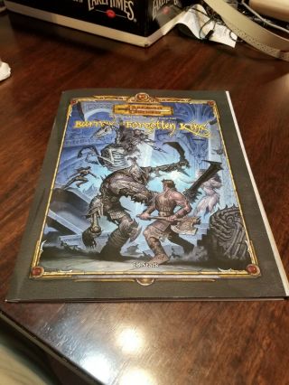 Dungeons and Dragons City Of Peril Barrow Of The Forgotten King 2