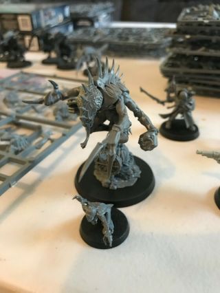 Warhammer 40k Tyranid Genestealer Cult Patriarch Broodlord And Familiar Painte