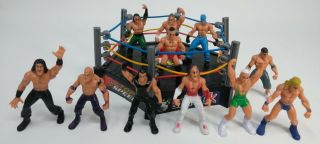 Wwe Knock Off/bootleg Miniature Wrestling Figures & Ring - Pvc Mini Action