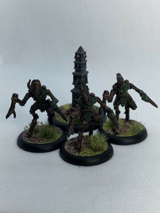 Sentry Stone And Maninikins Circle Unit Warmachine And Hordes Painted Miniatures