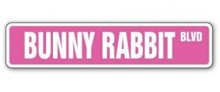 Bunny Rabbit Street Sign Easter White Lover Cage Hare| Indoor/outdoor | 18 " Wide