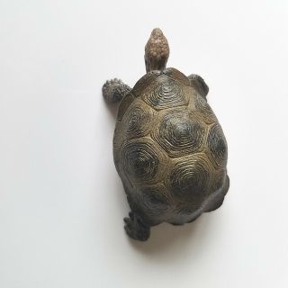 Schleich 14601 - Wildlife Giant Tortoise Static Animal Models Plastic Toys 8 5cm