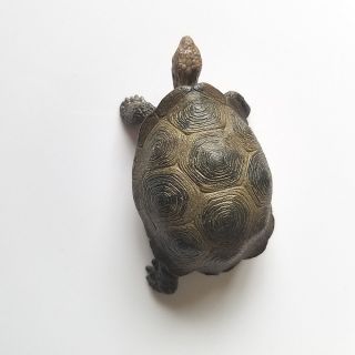 Schleich 14601 - Wildlife Giant tortoise Static Animal Models Plastic Toys 8 5cm 2