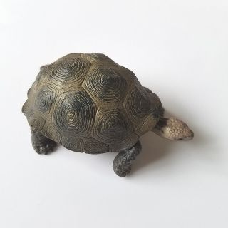 Schleich 14601 - Wildlife Giant tortoise Static Animal Models Plastic Toys 8 5cm 4