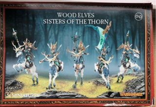 Warhammer Age Of Sigmar Wanderers Wood Elves Wild Riders / Sisters Of The Thorn