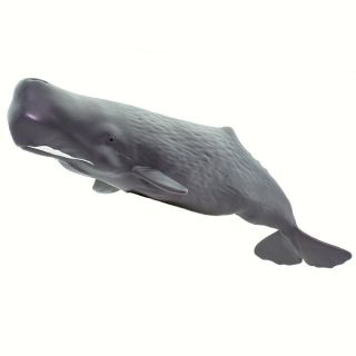 SAFARI LTD SAF100209 Sperm Whale,  Wild Safari Sea life 2