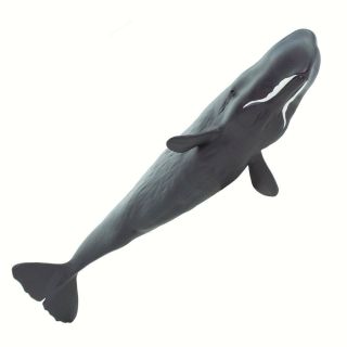 SAFARI LTD SAF100209 Sperm Whale,  Wild Safari Sea life 3