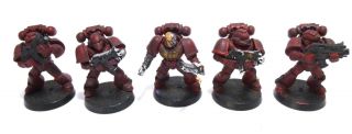 Warhammer 40k Space Marines Blood Angels Tactical Squad X5