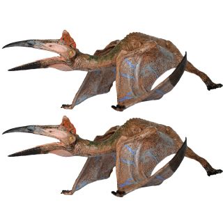 2 X Pterosaurs Flying Dinosaurs Kids Toys Educational Models Pterodactyls Birds