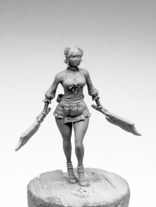 30mm Resin Kingdom Death Female Chef Unpainted Only Figure Wh289
