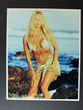 Baywatch Actress Playboy Model Pamela Anderson Autograph 8 X 10 Photo