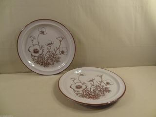 Noritake Stoneware " Desert Flowers " 2 Dinner Plates