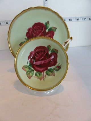 Stunning Paragon Signed R Johnson Huge Rose Cup And Saucer