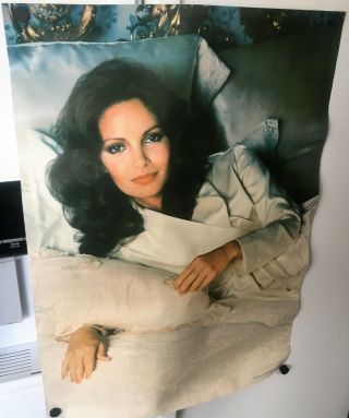 Jaclyn Smith - 1977 Vintage Pro Arts Inc.  14 - 515 " Jaclyn " Poster Charlie 