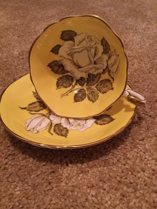 Paragon Large Cabbage Rose Yellow Cup & Saucer Double Warrant 2