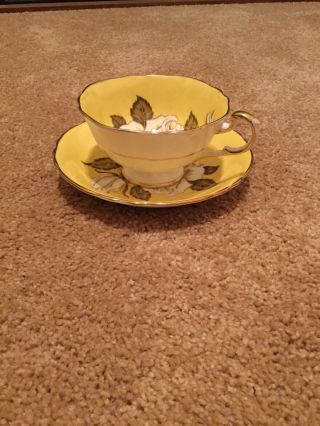 Paragon Large Cabbage Rose Yellow Cup & Saucer Double Warrant 3